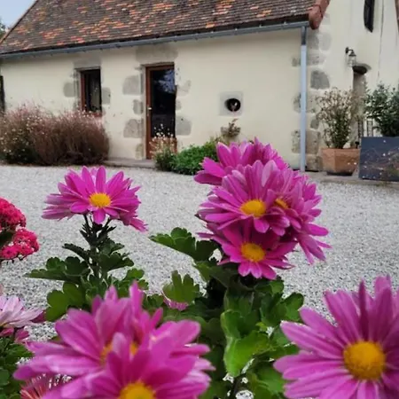 Maison De Charme 18e Siecle Avec Jardin, Parking Et Modernite - Proche De Vichy Et Charroux - Fr-1-489-393 *